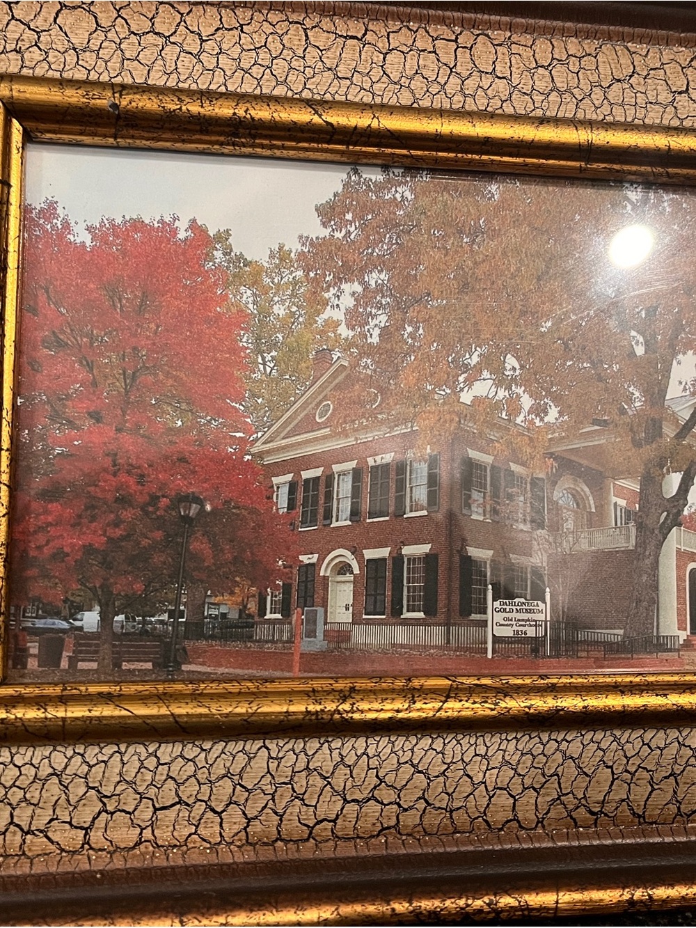 Framed Autumn Dahlonegs Gold Museum Print with Gold Crackle Frame - Picture 5 of 6